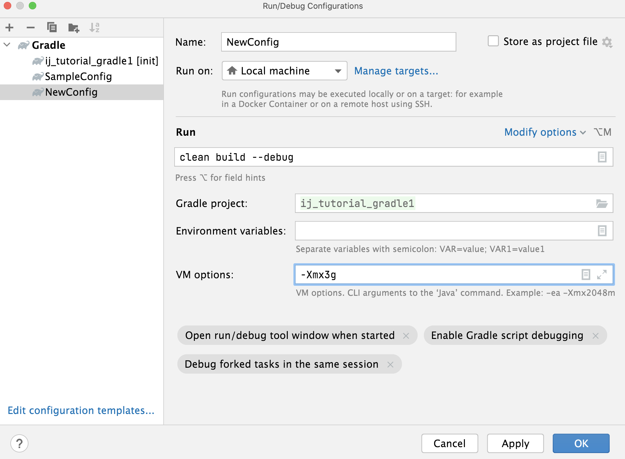 Intellij Run Configuration Command Line Arguments