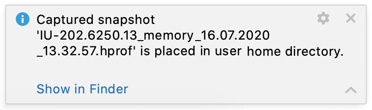 IDE memory snapshot is captured