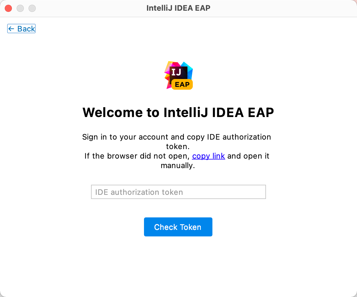 intellij idea activation code email