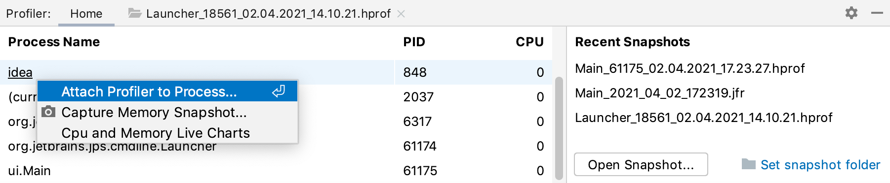 Attaching a profiler to a process