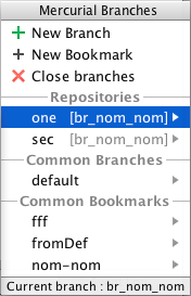Mercurial 分支弹出窗口