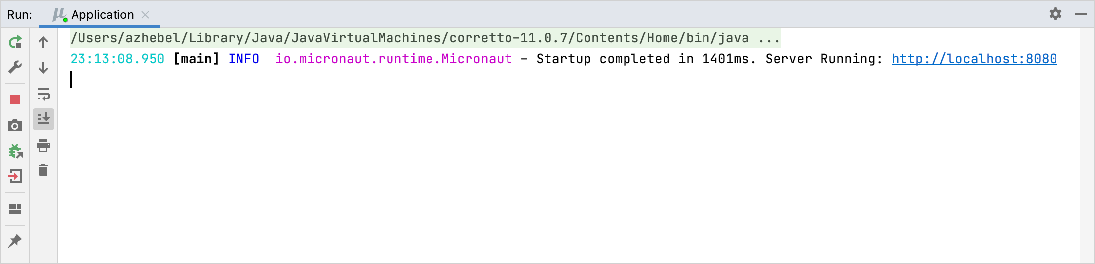 Micronaut application running in the Run tool window