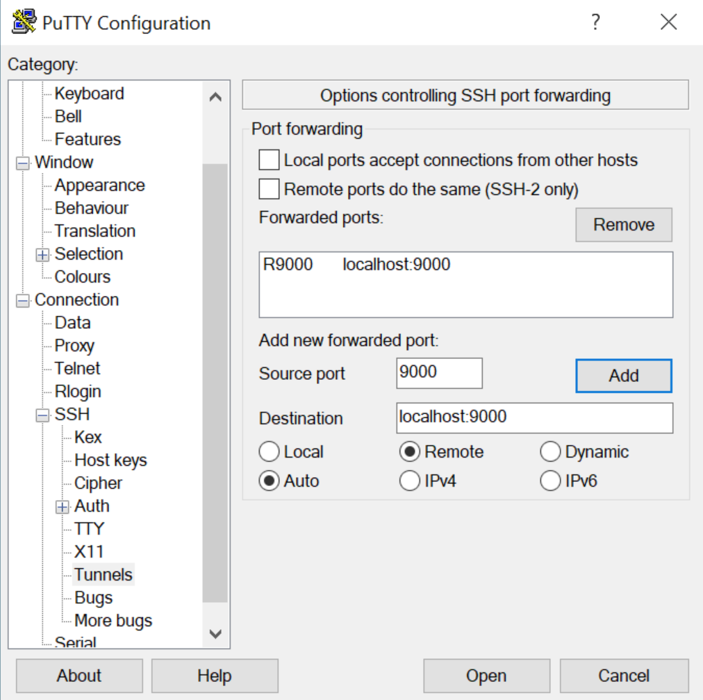 在 Putty 中设置 SSH 隧道