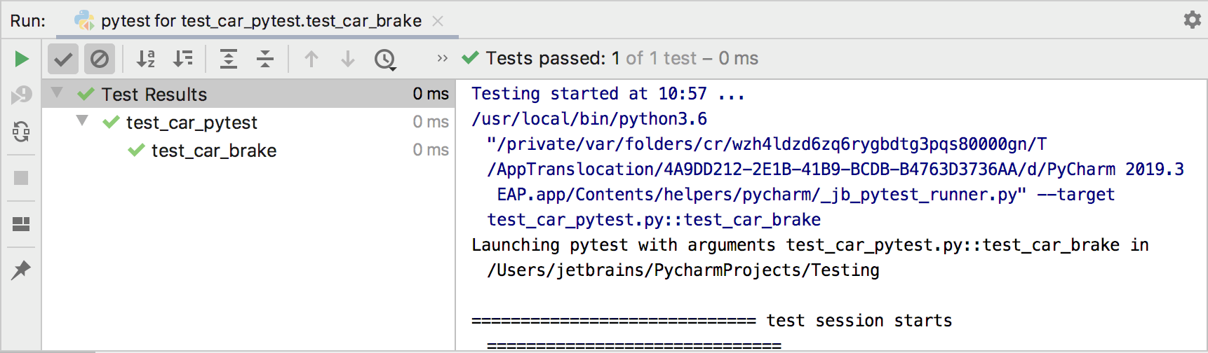 Pytest run