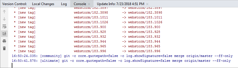 Verison Control 工具窗口的控制台选项卡