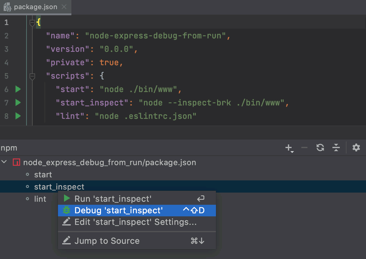 从 npm 工具窗口调试一个脚本