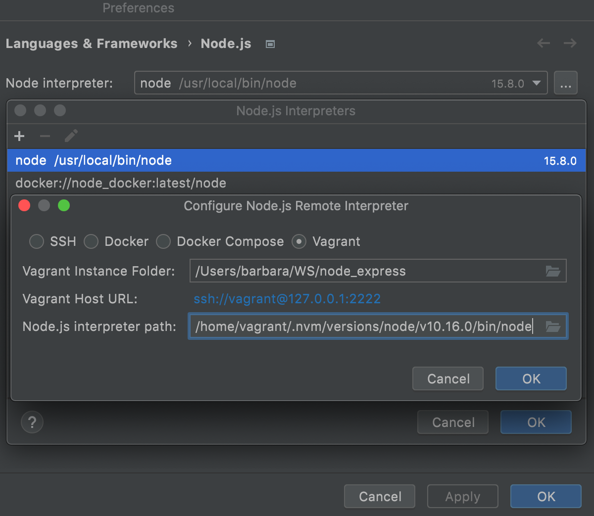 在 Vagrant 环境中配置远程 Node.js 解释器：指定实例文件夹和 Node 可执行文件的位置