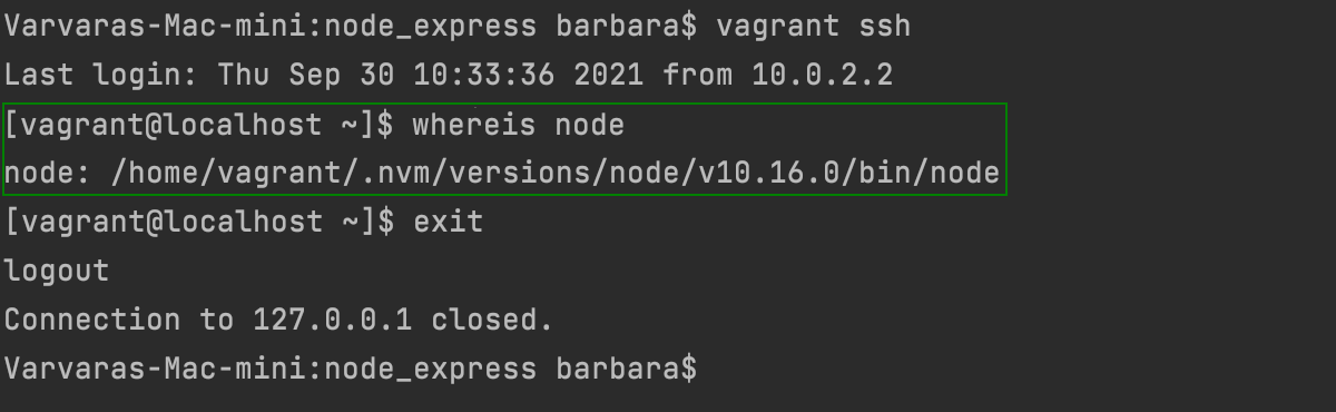 Locate Node.js executable in a Vagrant environment