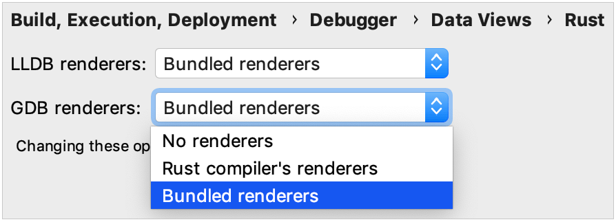 debugger data views options