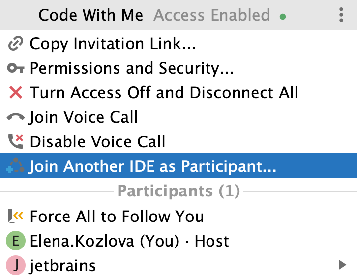 Join another IDE