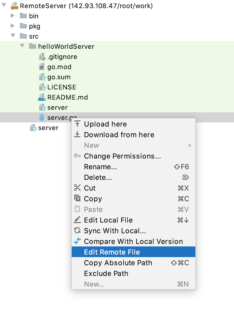 Edit file on remote host