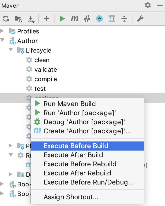 the Execute Before Build option