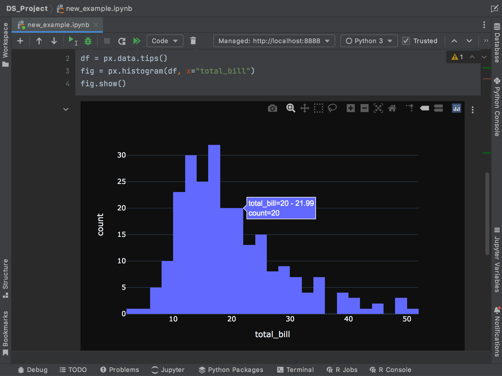 Viewing the output of the interactive widget in
the light theme