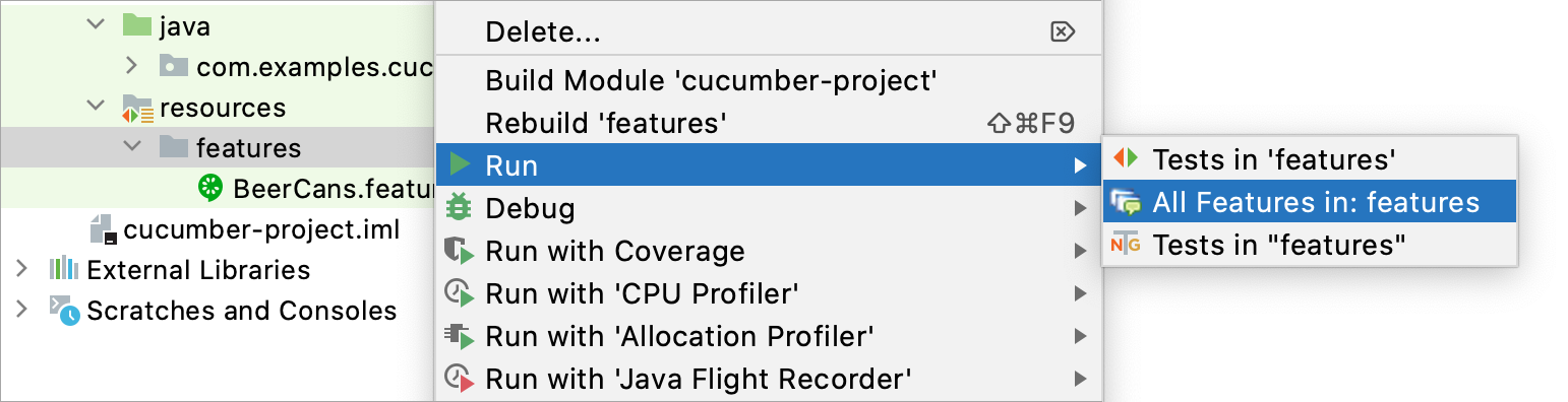 Running all features in the features folder