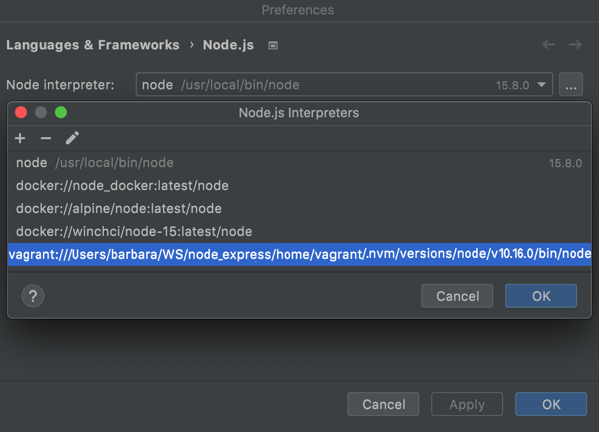 Remote Interpreters dialog: the new Node.js interpreter in a Vagrant environment added to the list