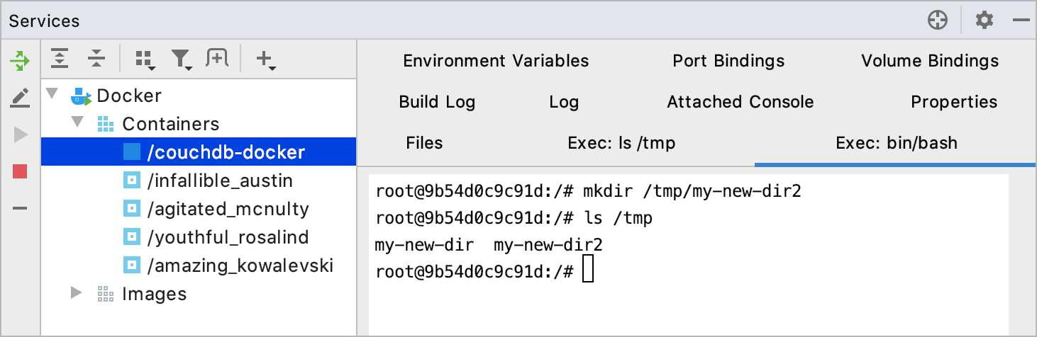 The Exec tab with /bin/bash running