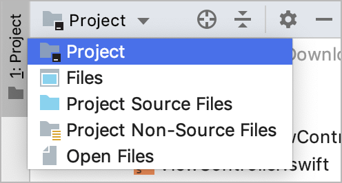 AppCode: choosing a view in the Project tool window