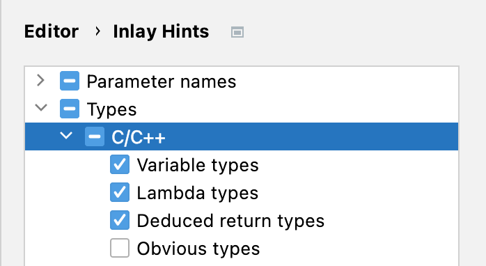 Type hints settings