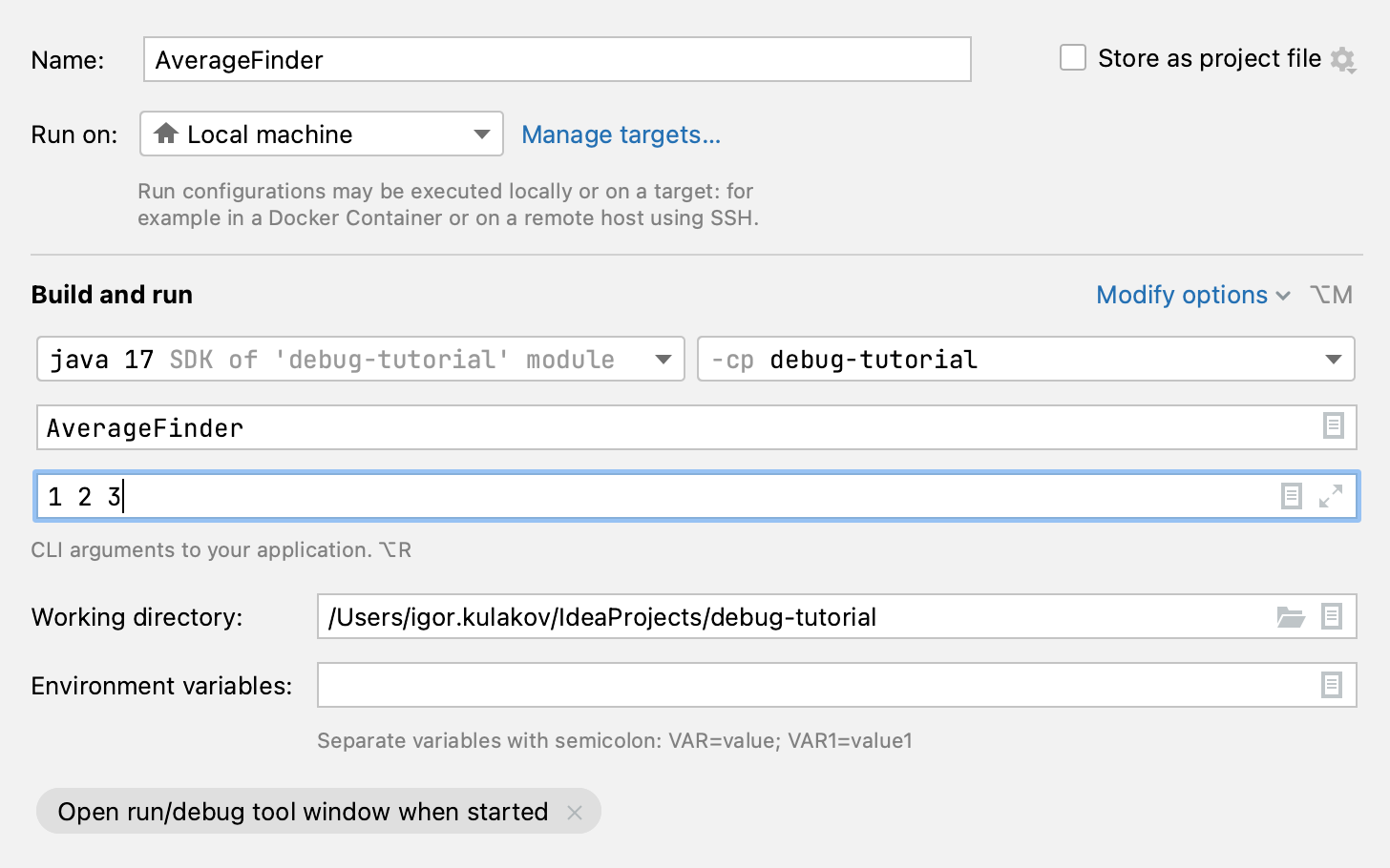 Arguments are entered in the Program arguments field