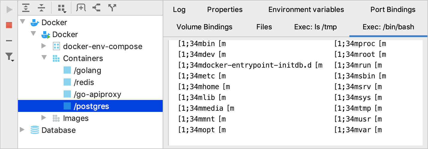 The Exec tab with /bin/bash running