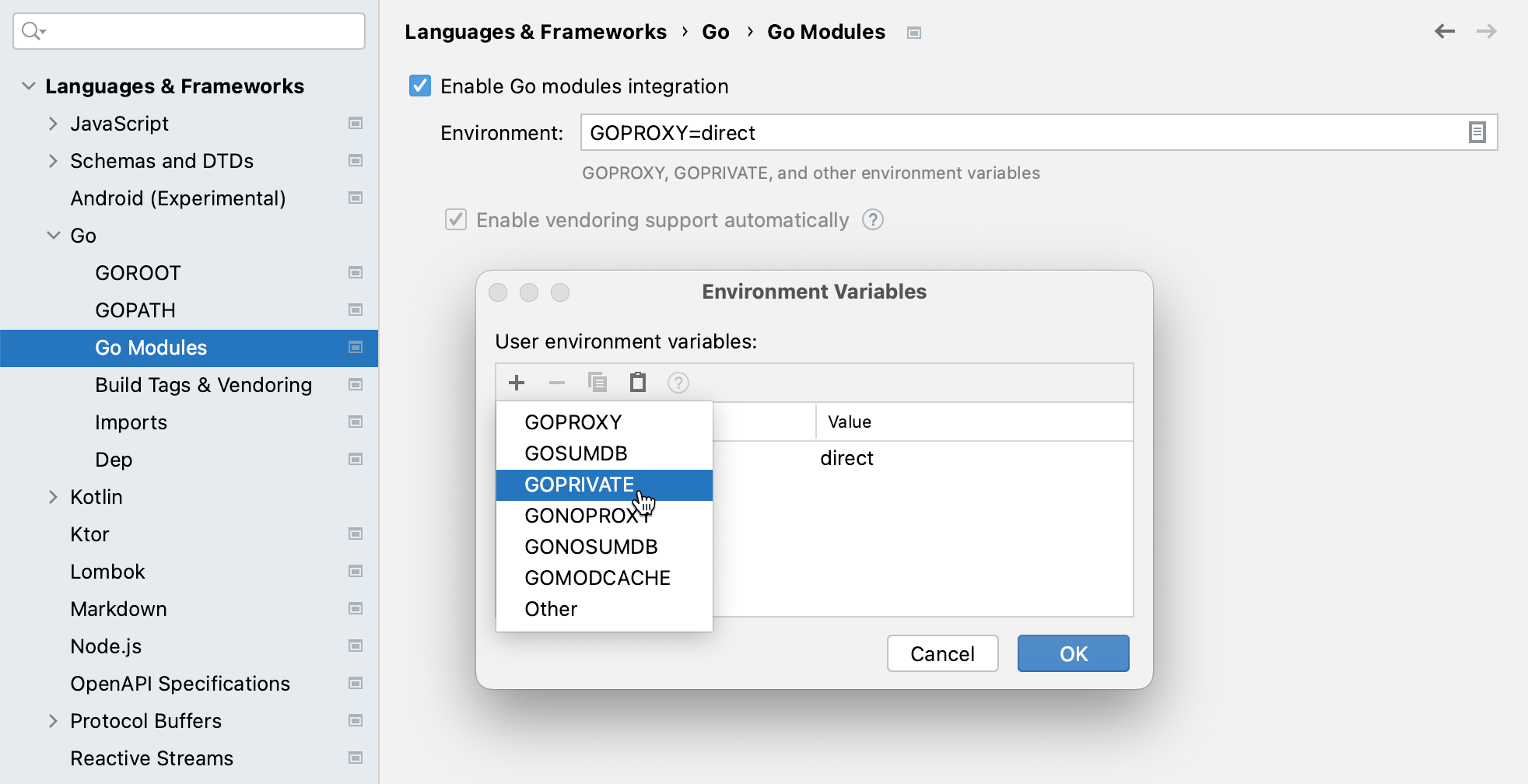 Introduce an environment variable in a new project