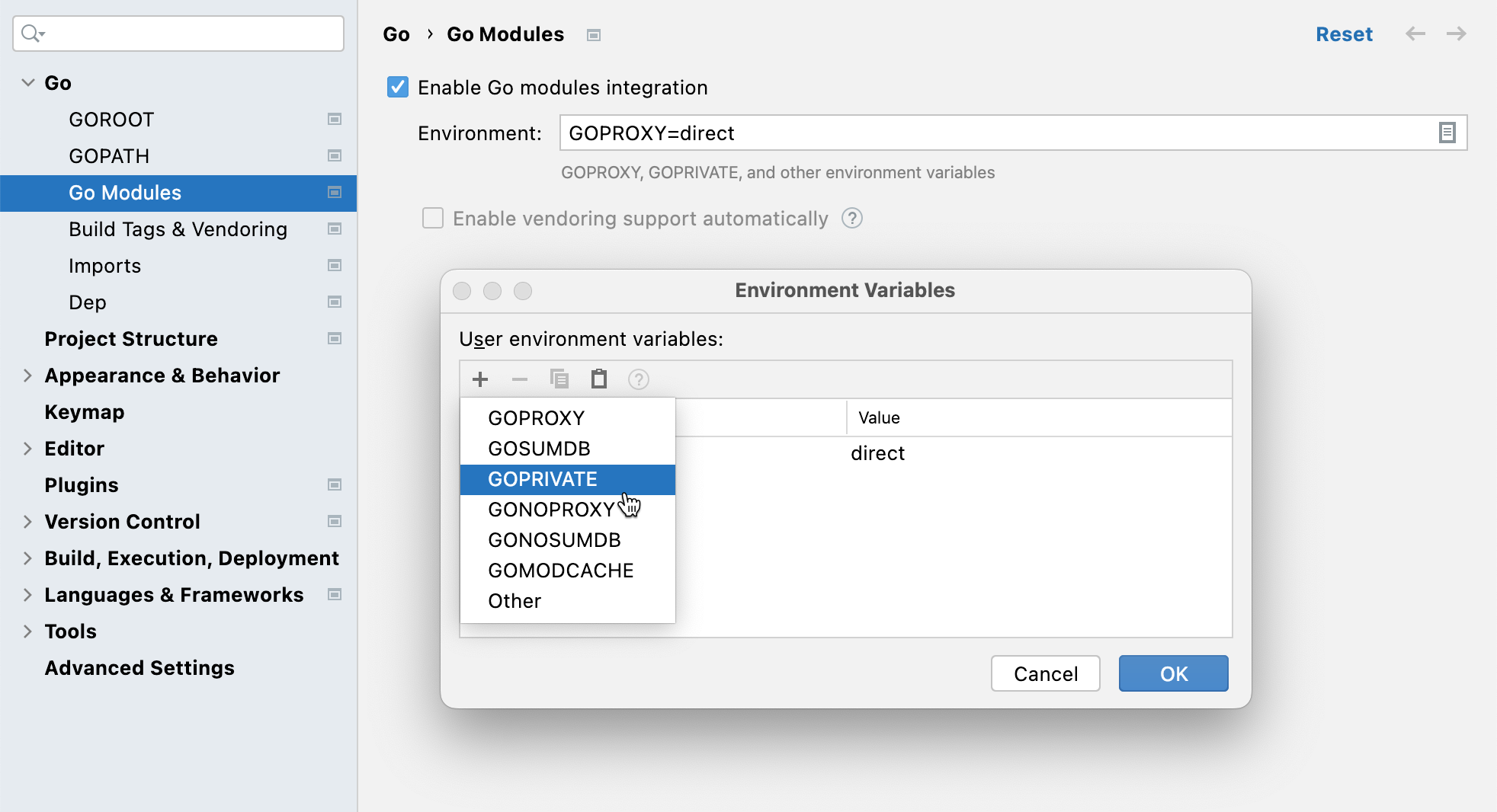 Introduce an environment variable in a new project