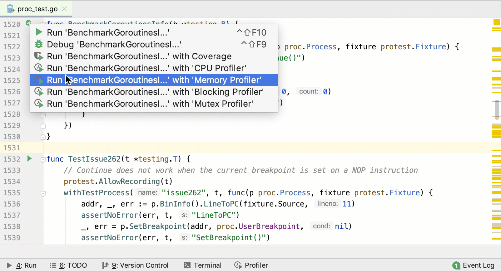 Run Memory profiling