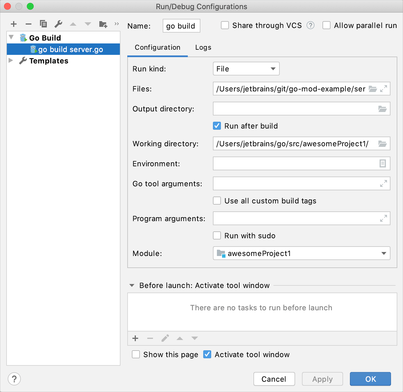 Run/Debug Configuration for the Go build