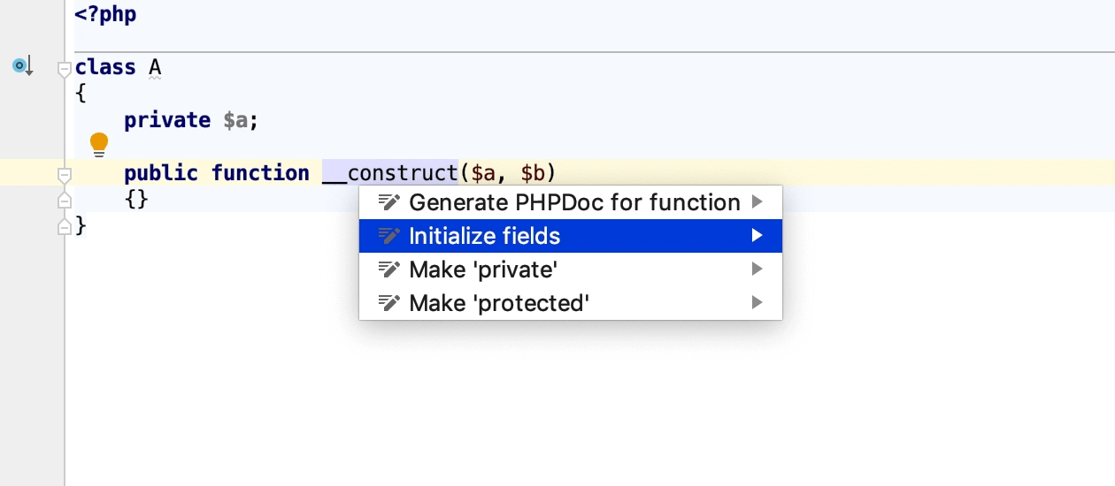 Initialize class properties intention