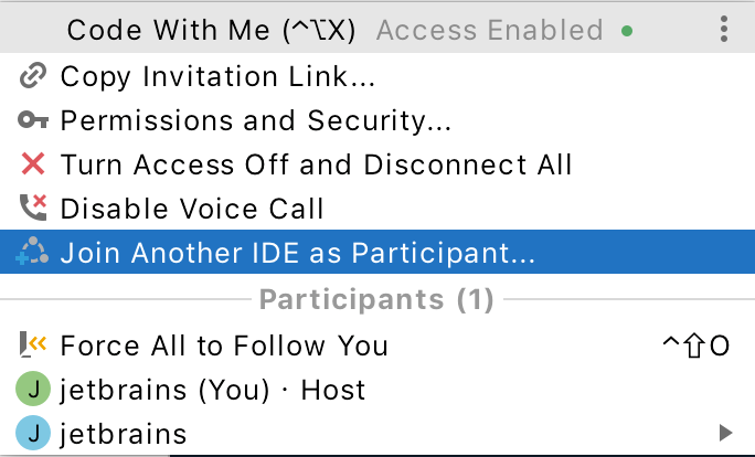 Join another IDE