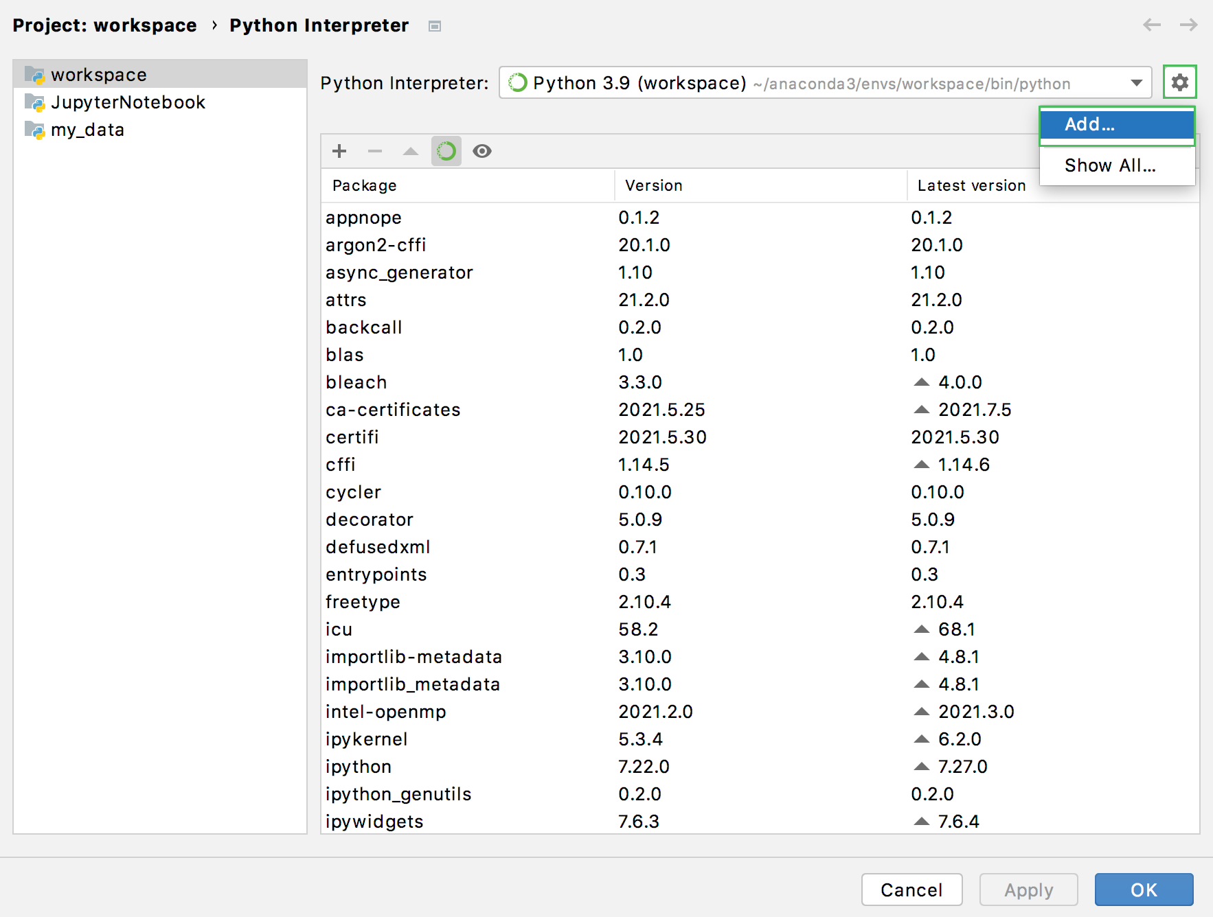 conda virtual environment