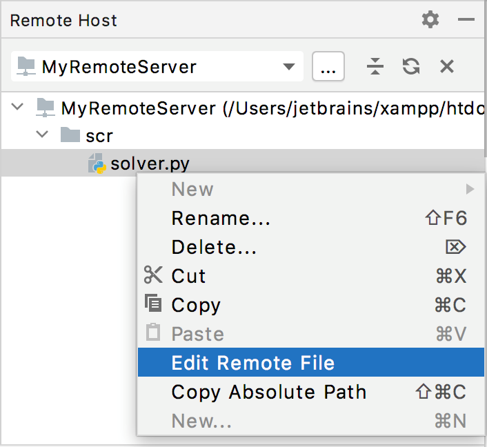 Edit file on remote host
