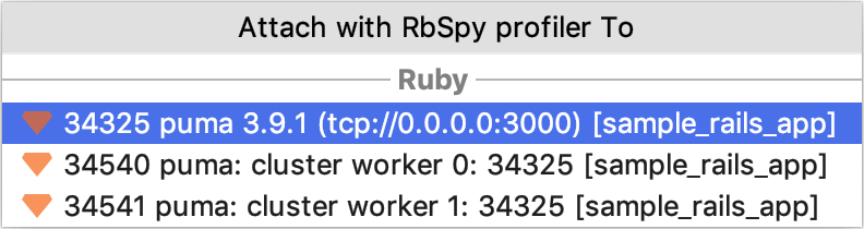 Attach with RbSpy Profiler to