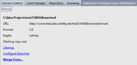 SVN diagnostics. SVN working copies information