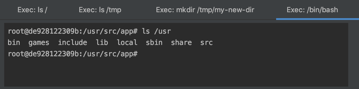 The Exec tab with /bin/bash running