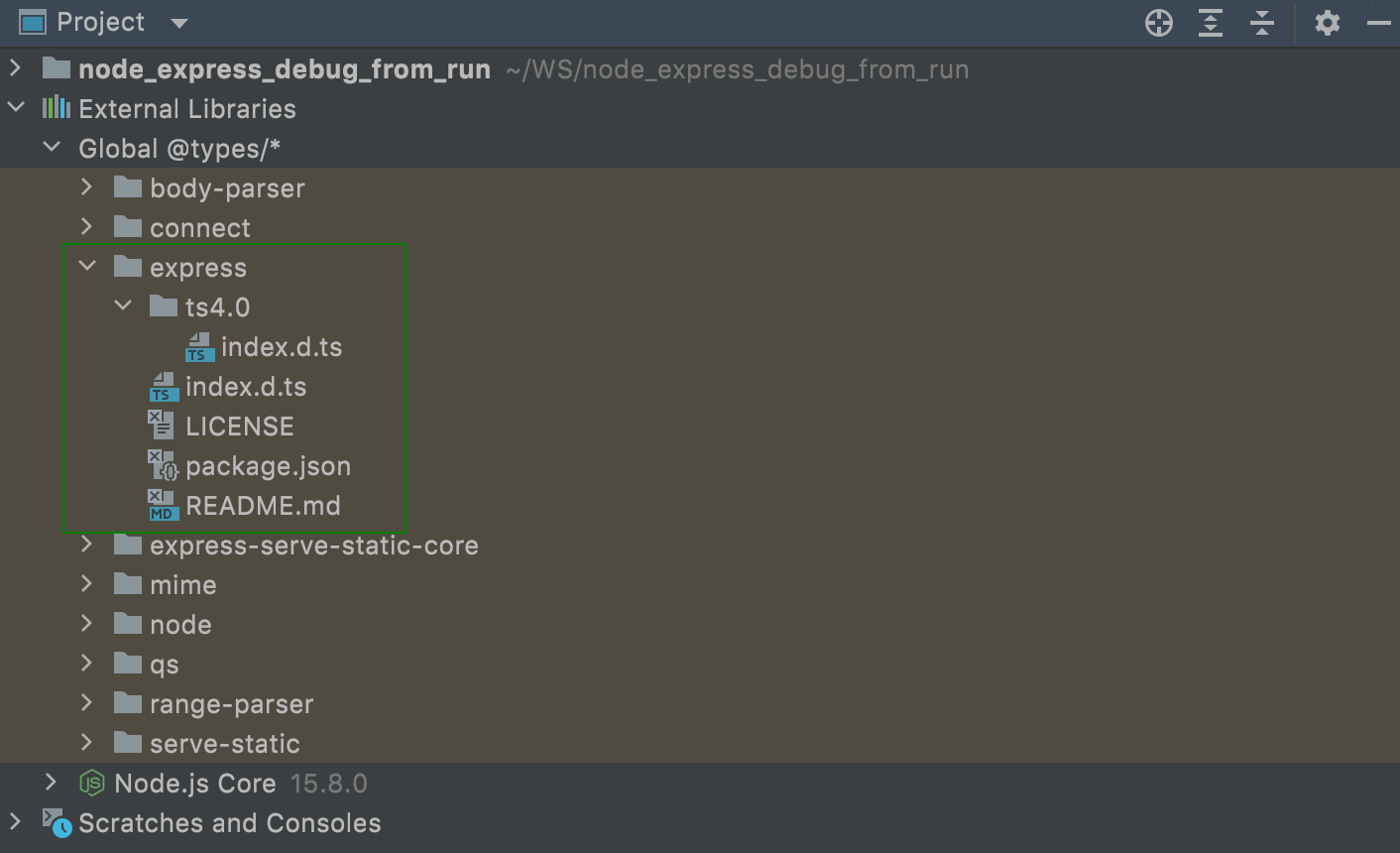 Downloaded type definitions are shown under the External libraries node