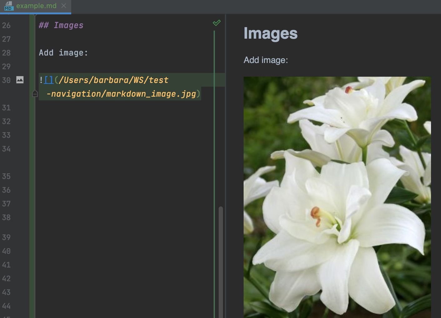 Inserted image in a Mrkdown document