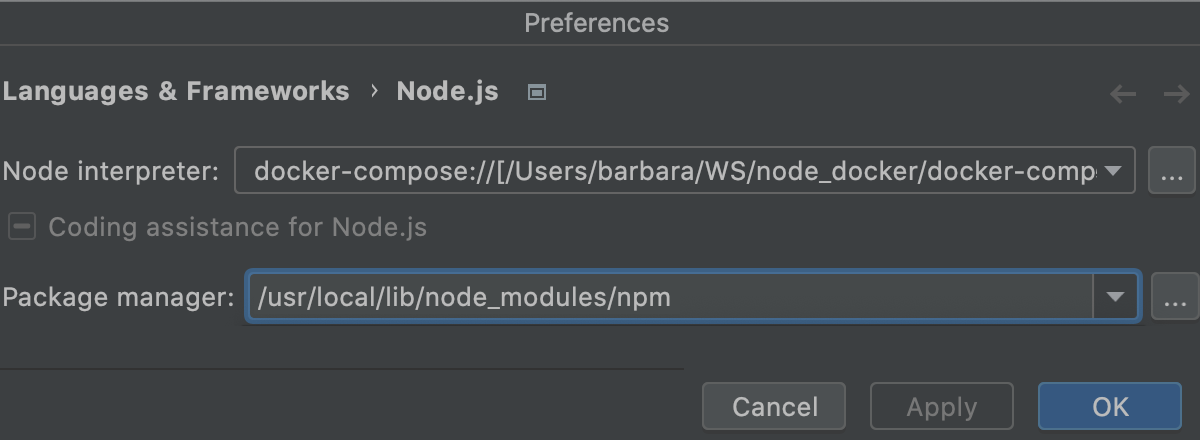 Configure Node.js interpreter in Docker container: set as default project interpreter