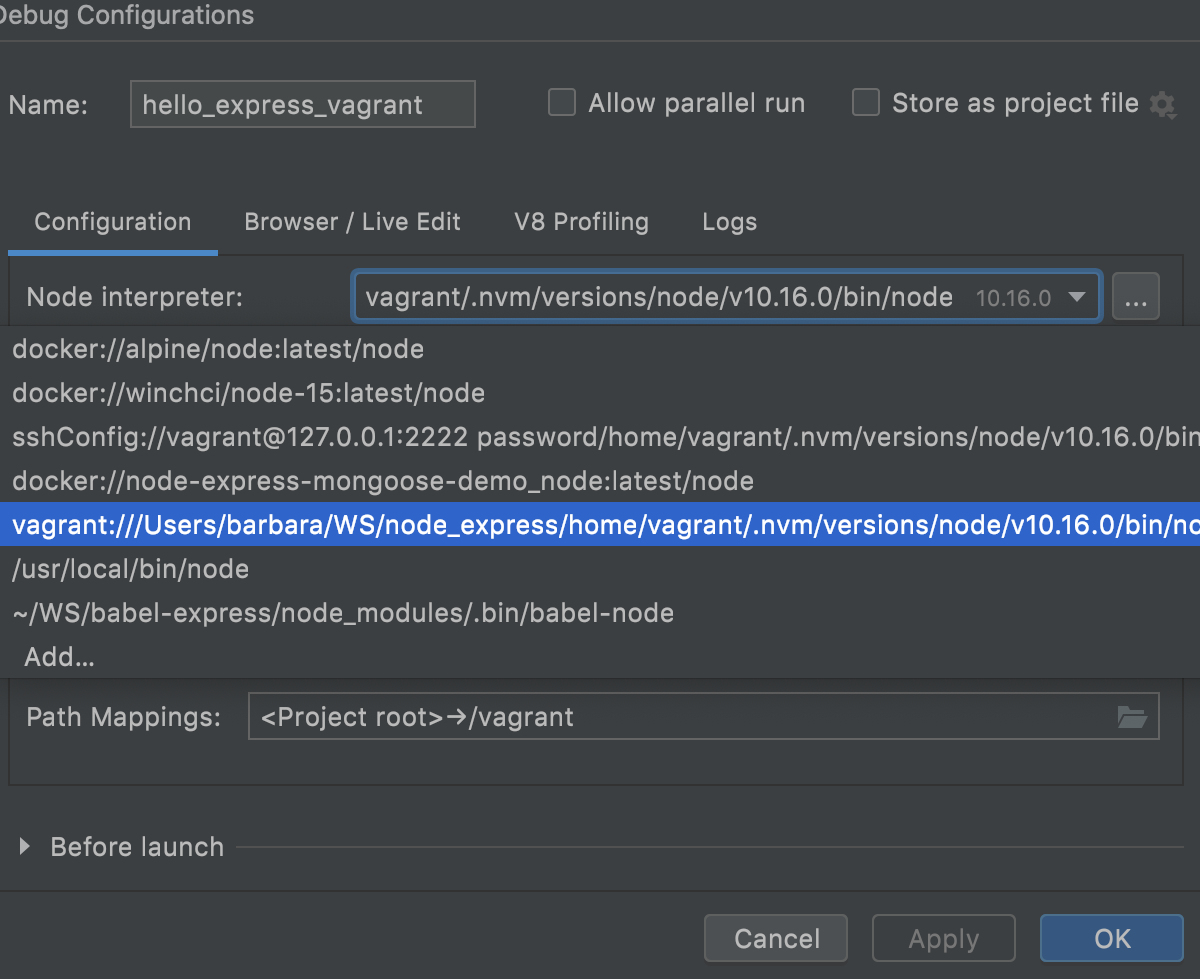 Node.js with Vagrant: run/debug configuration, select interpreter