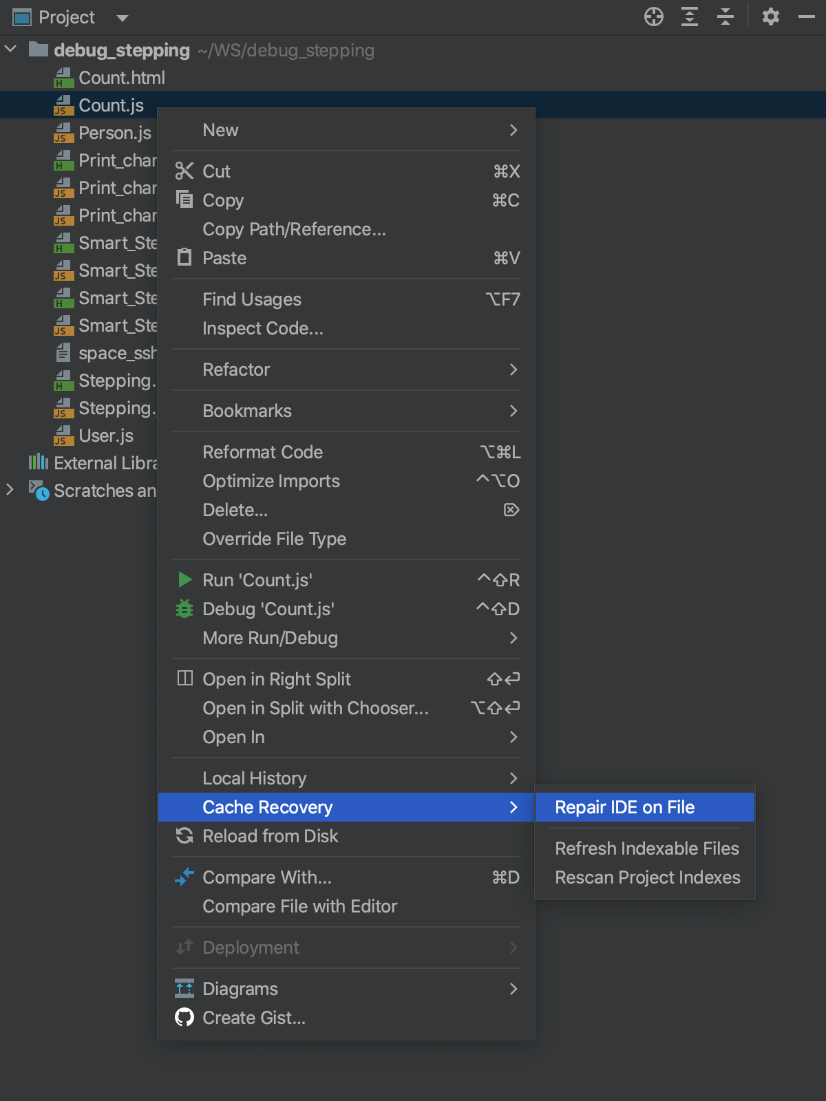 Repair IDE on a file