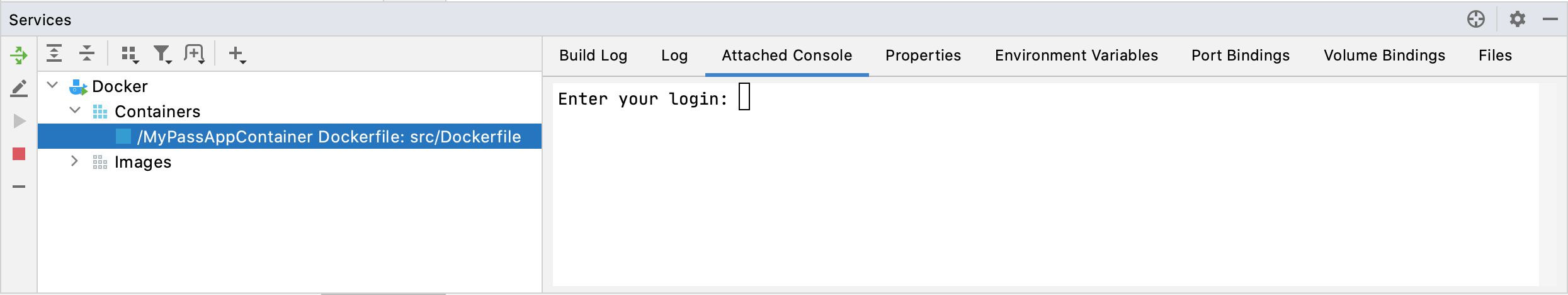 The Services tool window with a running container