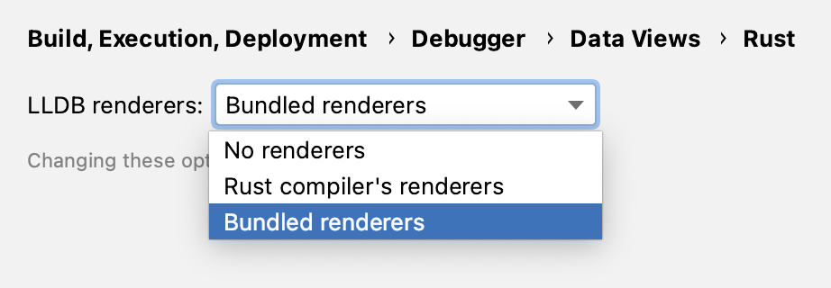 debugger data views options