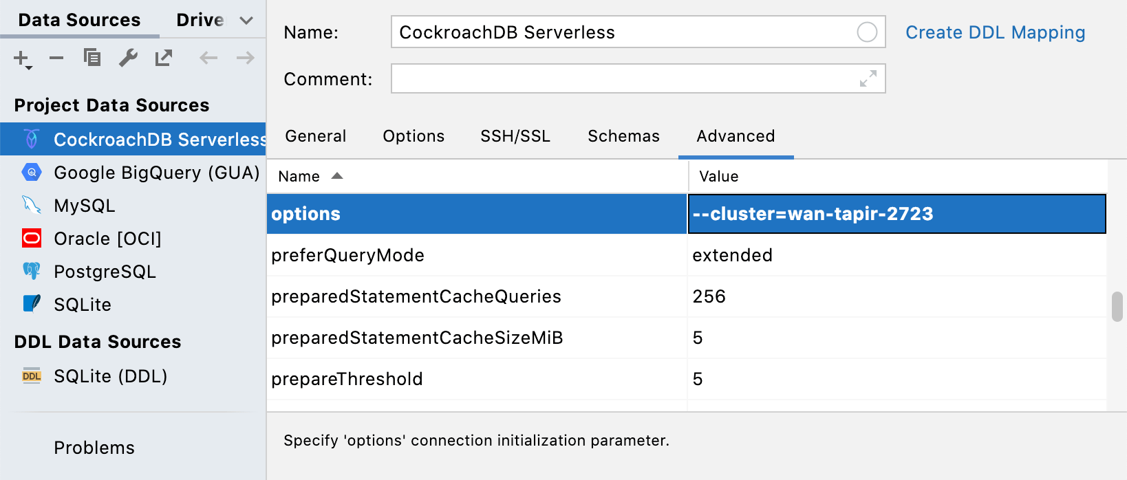 datagrip parameters