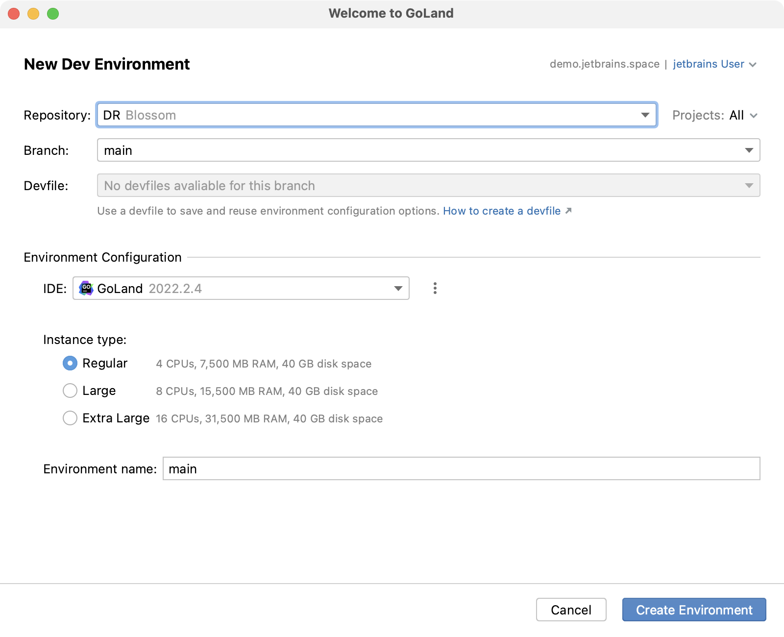 The Dev Environments window