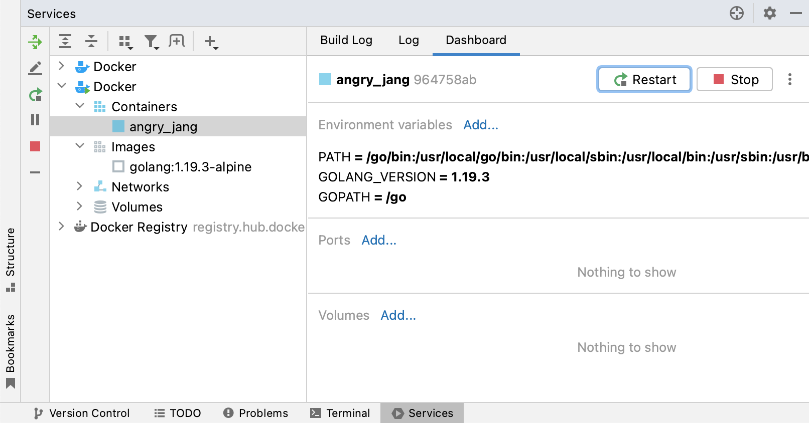 The Dashboard tab of a container selected in the Services tool window