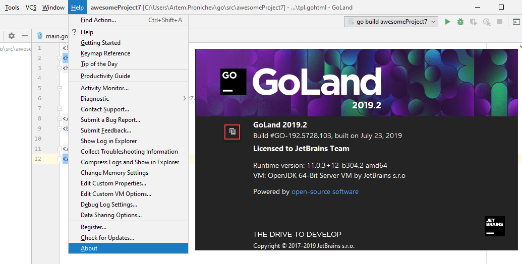 Go product version windows