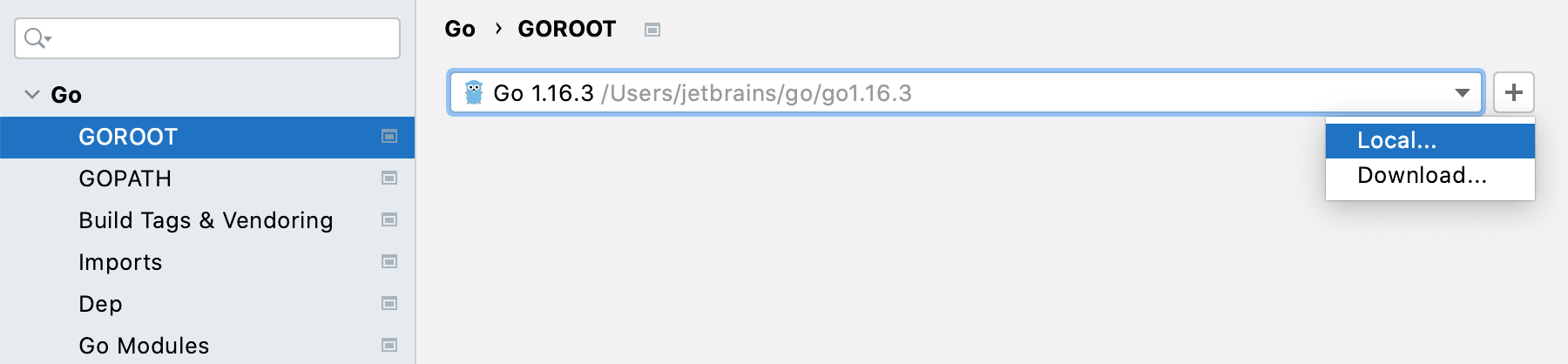 Select a local copy of Go SDK