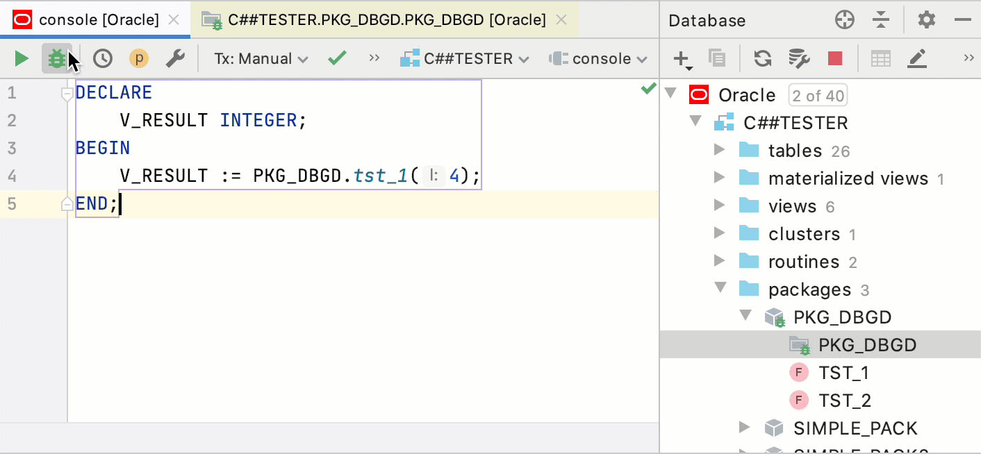 Debug PL/SQL program objects through anonymous blocks