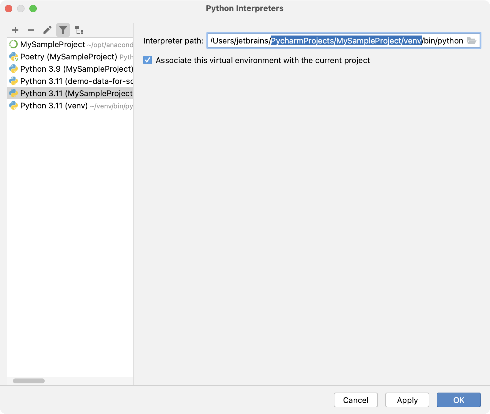 Discover the interpreter path for the selected venv