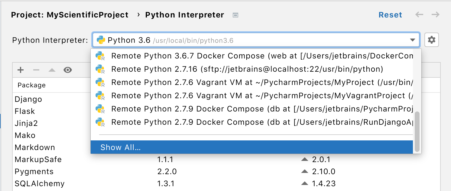 Selected Python interpreter